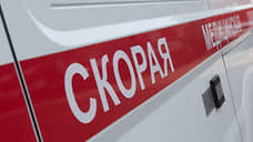 Девушка на машине каршеринга сломала руку, врезавшись в повозку с лошадьми на КАД