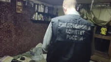 СК возбудил дело по факту возможного сожжения тела новорожденного в Авиагородке
