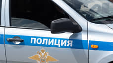 Жители Ленобласти вырастили в землянке под Волховом 40 кустов конопли