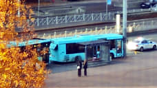 Два лазурных автобуса столкнулись на Савушкина, трое пассажиров госпитализированы