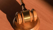 Суд оштрафовал петербурженку, чья собака покусала людей в Ленобласти