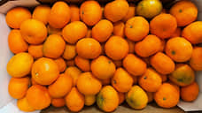 Почти 20 тонн мандаринов из ЮАР не прошли контроль в петербургском порту