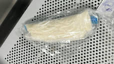 Полицейские задержали в Кудрово мигранта почти с 200 граммами мефедрона