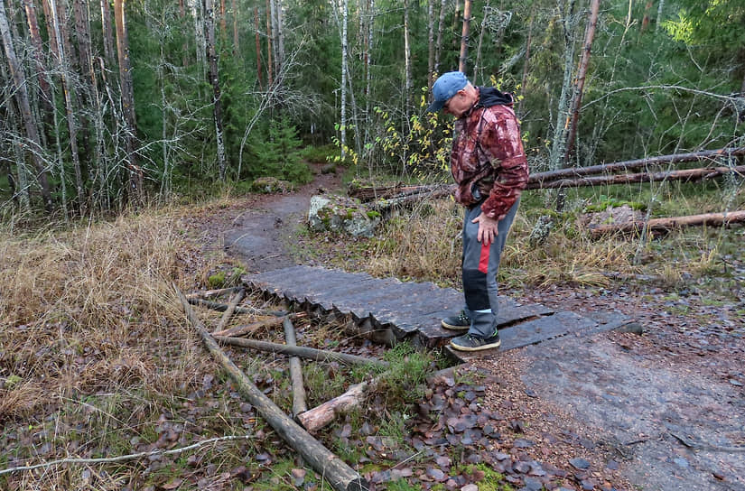 Последствия деяний вандалов, которые сломали перила на экотропе в парке Монрепо