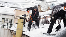 Петербургские коммунальщики отчитались о последствиях ночного снегопада