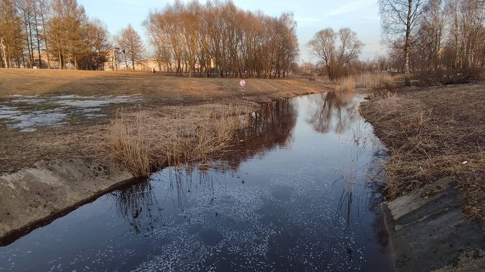 Загрязнение в Муринском ручье, вода из которого поступает в Охту