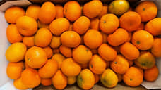 Почти 20 тонн мандаринов не пустили в Петербург из-за зараженности вредителем