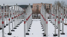 Ученые Политеха разработали стеклопластиковые сваи для строительства в Арктике