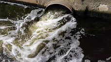 В Петербурге построят канализационную сеть, чтобы исключить стоки в Малую Невку