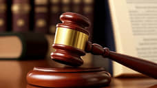 Петербуржца наказали обязательными работами за мультперсонажа в нацистской форме