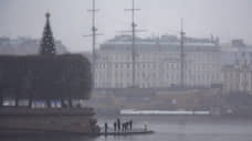 Жителей Петербурга предупредили о сильном тумане вечером и утром 6 декабря