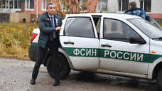 Зампред «Яблока» и иноагент Шлосберг отправлен под стражу по делу о дискредитации