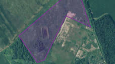 В производство по переработке овощей в Ленобласти инвестируют 200 млн рублей