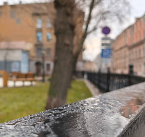 Дмитровский сквер благоустроили в Центральном районе Петербурга