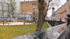 Дмитровский сквер благоустроили в Центральном районе Петербурга