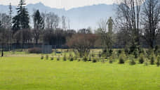 На улице Верности в  Петербурге появился парк Героев СВО