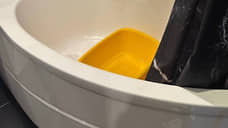 В петербургской квартире в тазу с водой утопили новорожденного мальчика