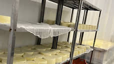 В Петербурге изъяли и утилизировали две тонны сыра без документов