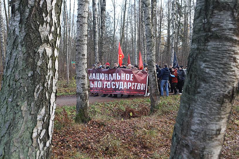 Участники Русского Марша «За национальное и социальное государство» в Удельном парке