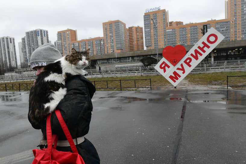 Женщина с котом на плече на фоне надписи &quot;Я люблю Мурино&quot; 