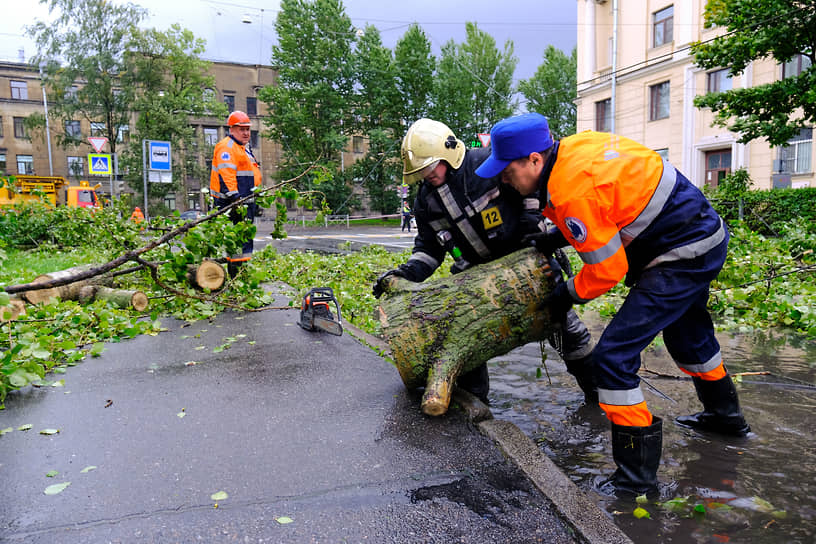 Последствия шторма в Санкт-Петербурге 10 сентября. Жанровая фотография. Сотрудники аварийной службы и пожарной службы МЧС России во время расчистки проезжей части от упавших деревьев