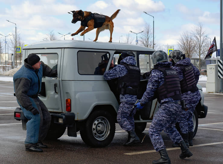  Показательные выступления сотрудников Росгвардии по задержанию преступника с помощью служебной собаки во время работы выставки «ЭкспоТехноСтраж»