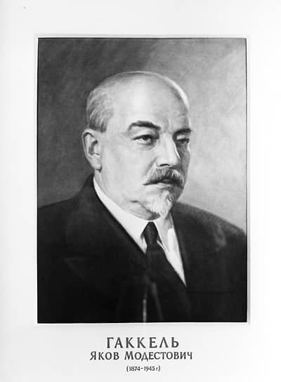 Яков Модестович Гаккель — инженер, внесший значительный вклад в развитие отечественного самолето- и тепловозостроения