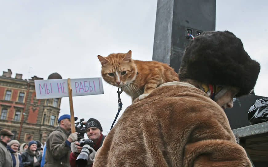 Хвостатые и усатые не остаются в стороне от общественной жизни и нередко вместе со своими хозяевами посещают самые разные мероприятия. На фотографии рыжая красавица на митинге в 2008 году