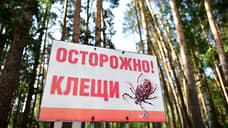 Город вступит в борьбу с клещами