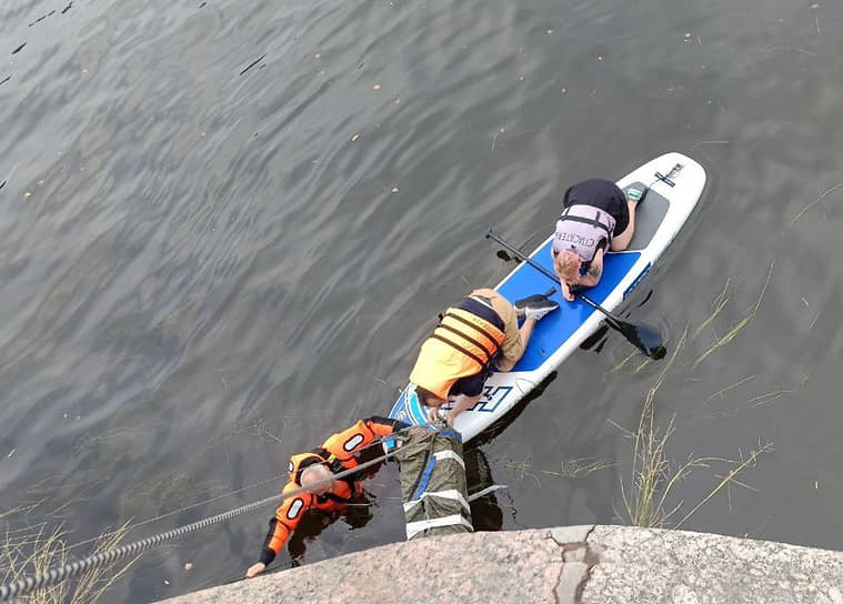 Волонтеры службы «Кошкиспас». Операция по спасению кота, застрявшего в набережной реки Фонтанки