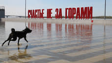 Собаководов берут на поводок