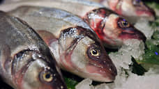 Сибас получил областную прописку