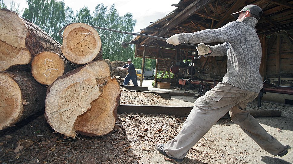Половина производимой в России древесины — это круглый лес разного сортамента