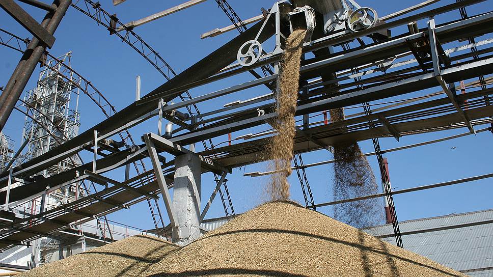 Поставленное зерно Каневской КХП не оплачивает, ссылаясь на сложное финансовое положение.