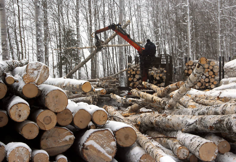  Инвестпроектом не предусмотрена продажа древесины на сторону