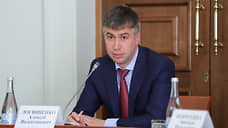 В 2020 году глава администрации Ростова-на-Дону заработал 14 млн рублей