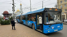 В Ростове вышли на маршруты автобусы-гармошки