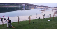 В Ставрополе на Комсомольском пруду к началу купального сезона высадили плетеные ивы