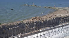 В июле текущего года будет открыт пляж Центральный в Таганроге
