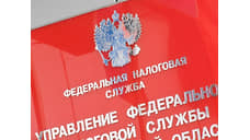 Донским предпринимателям за 2024 год назначили 5 млрд руб налоговых доначислений