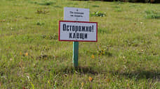 Опубликован список разрешенных инсектицидов против клещей в Ростовской области