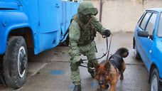 В Новочеркасске определили лучших кинологов юга России