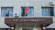 В семи магазинах сети «Маяк» в Ростовской области нашли некачественную продукцию