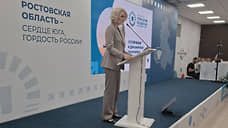 Зампред Госдумы предложила новые приоритеты развития Дона до 2030 года