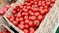 В Ростовской области запустили агрегатор для сбыта фермерской продукции
