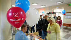 На выборах губернатора Ростовской области проголосовали 15,1% избирателей