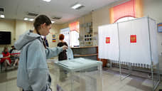 Явка на выборах губернатора Ростовской области превысила 46%