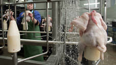 Ростовская птицефабрика оштрафована на 750 тысяч за сальмонеллу в продукции