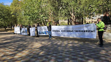 В Ростове активисты провели пикет с требованием закупить новые троллейбусы
