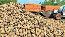 В Ростовской области убрали более 60% сахарной свеклы